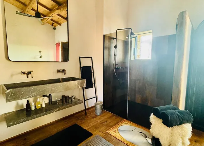 Terradigaya Pietrosella